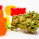 Illustration for article titled Washington state moves to ban all marijuana gummies and hard candies